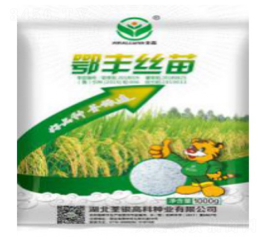 鄂豐絲苗-水稻種子-荃銀高科