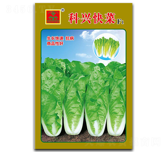 ���d���-�~�˷N��-���d�N�I(y��)