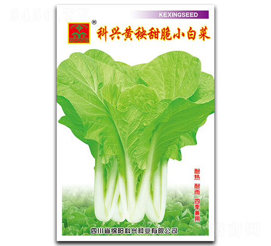 �S�����С�ײ�-�~�˷N��-���d�N�I(y��)