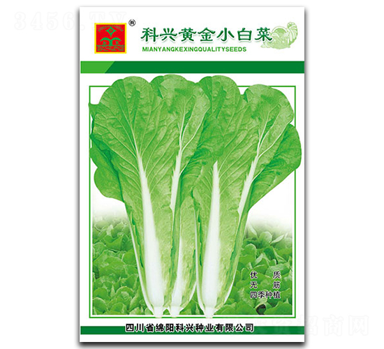 �S��С�ײ�-�~�˷N��-���d�N�I(y��)