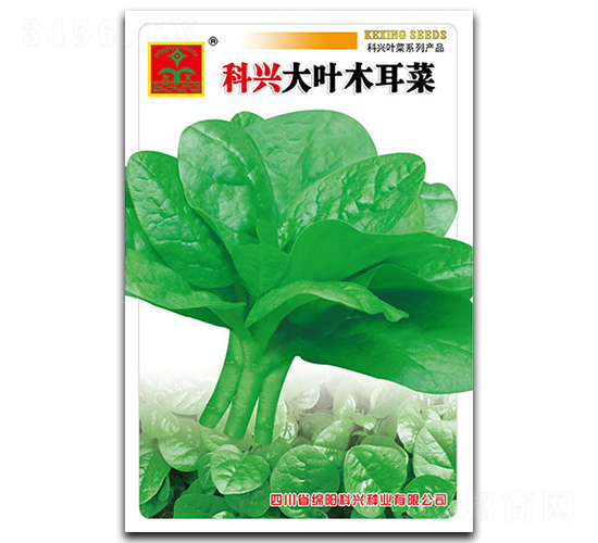 ���~ľ����-�~�˷N��-���d�N�I(y��)