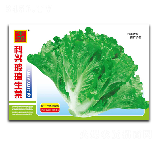 ���d��������-�~�˷N��-���d�N�I(y��)