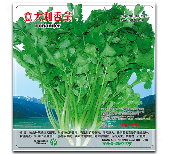 ��������-�~�˷N��-���d�N�I(y��)