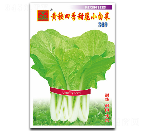 �S���ļ����С�ײ�-�~�˷N��-���d�N�I(y��)