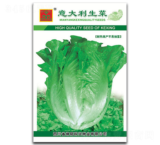 ���������-�~�˷N��-���d�N�I(y��)