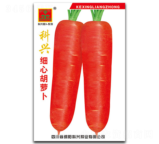 ���d��(x��)�ĺ��}��-�}���N��-���d�N�I(y��)