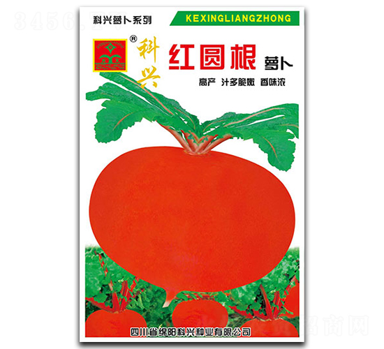 �t�A���}��-�}���N��-���d�N�I(y��)