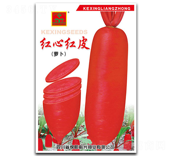 �t�ļtƤ-�}���N��-���d�N�I(y��)