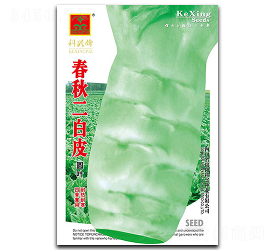 �������Ƥ-�n�S�N��-���d�N�I(y��)