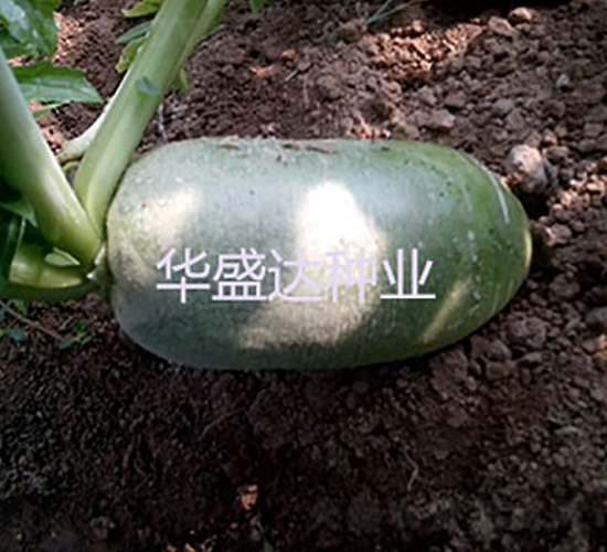 �G��1̖ˮ���}��-�}���N��-�Aʢ�_