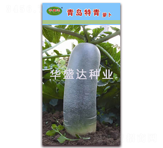 ���u����-�}���N��-�Aʢ�_(d��)