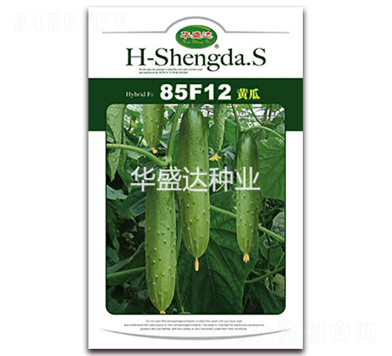 85F12�S��-�S�ϷN��-�Aʢ�_