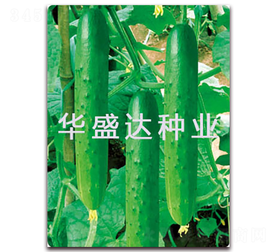 ���﹝(ji��)��-�S�ϷN��-�Aʢ�_(d��)