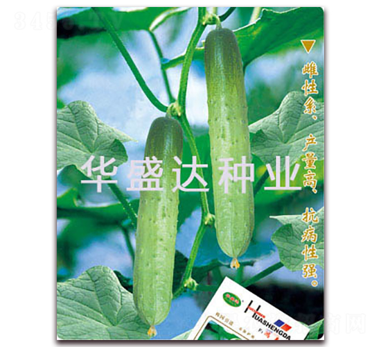 ����-�S�ϷN��-�Aʢ�_(d��)