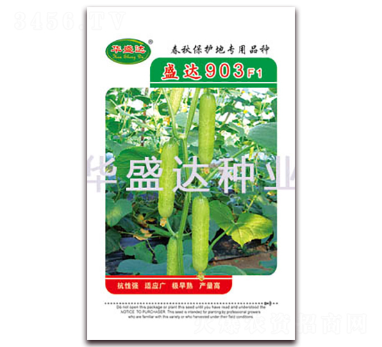 ʢ�_(d��)903F1-�S�ϷN��-�Aʢ�_(d��)