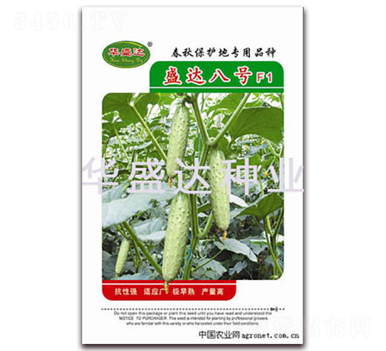 ʢ�_(d��)��̖F1-�S�ϷN��-�Aʢ�_(d��)