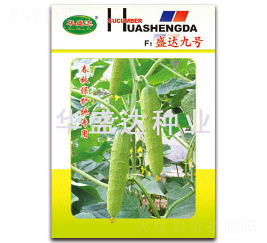 F1ʢ�_(d��)��̖(h��o)-�S�ϷN��-�Aʢ�_(d��)