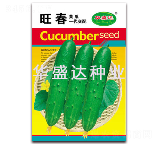 ����-�S�ϷN��-�Aʢ�_(d��)