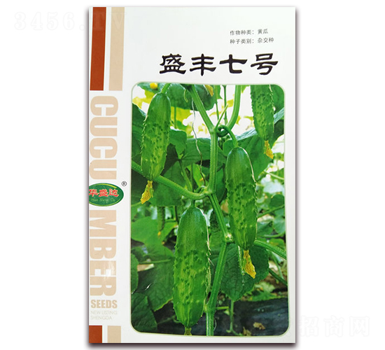 ʢ�S��̖(h��o)-�S���s���N-�Aʢ�_(d��)