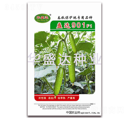 ʢ�_901F1-�S�ϷN��-�Aʢ�_