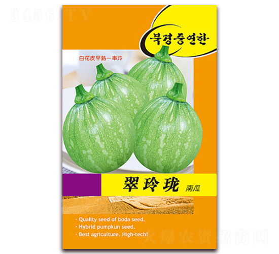 翠玲瓏-南瓜種子-鑫博大