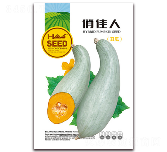 俏佳人-南瓜種子-鑫博大