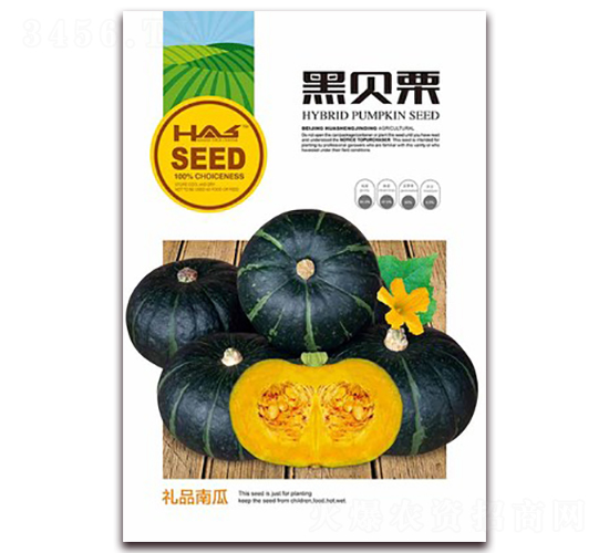 ��ؐ��-�ϹϷN��-�β���