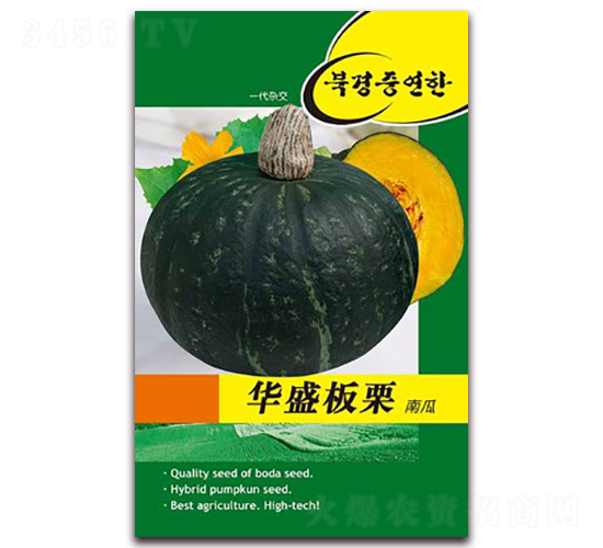 華盛板栗南瓜-南瓜種子-鑫博大