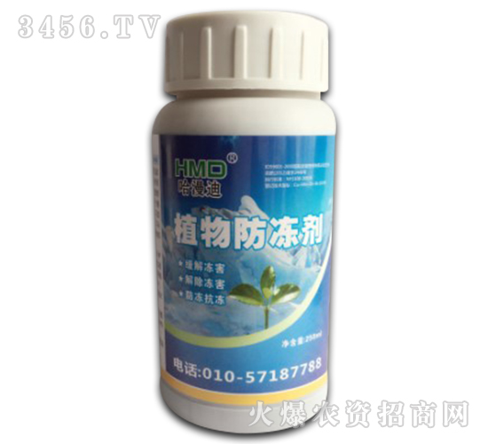 ֲ�������-������-������˹