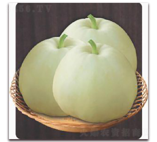 ����-��ϷN��-�����S��