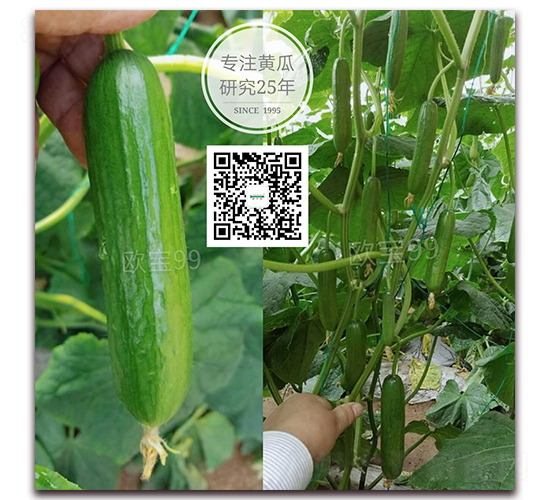 �W��99���m-ˮ���S�ϷN��-�¸ɾ�