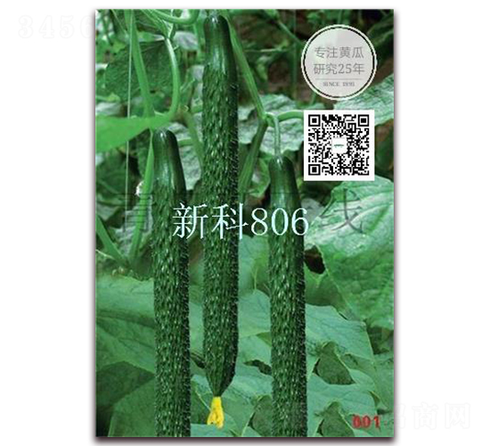 �¿�806-�ܴ��S�ϷN��-�¸ɾ�