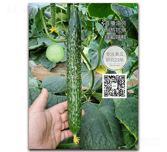 � �Ԫ3̖(h��o)-�ܴ��S�ϷN��-�¸ɾ�