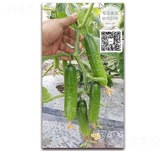 δ��(l��i)��̖(h��o)-�S�ϷN��-�¸ɾ�