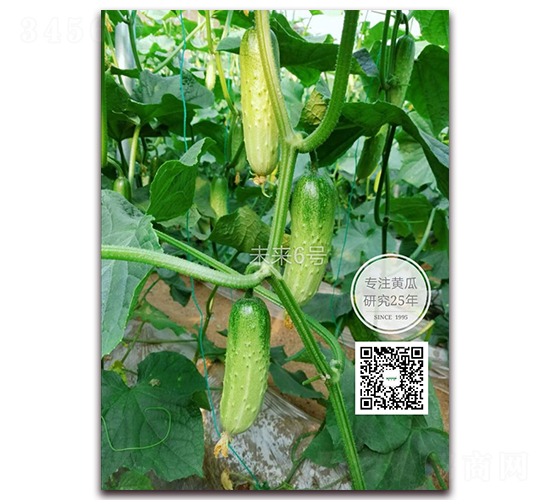 δ��(l��i)��̖(h��o)-�S�ϷN��-�¸ɾ�