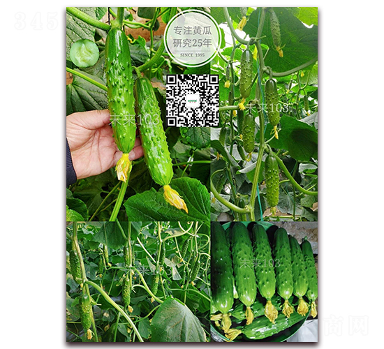 δ��103-�S�ϷN��-�¸ɾ�