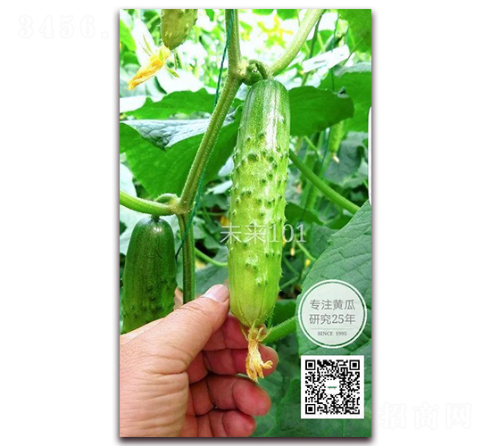 δ��(l��i)101-�S�ϷN��-�¸ɾ�