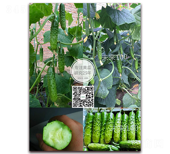 δ��(l��i)100-�S�ϷN��-�¸ɾ�