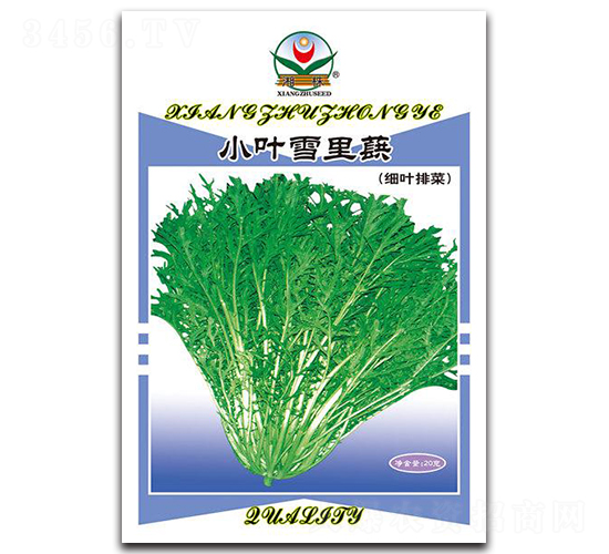 С�~ѩ��ޮ-��˷N��-���߷N�I(y��)