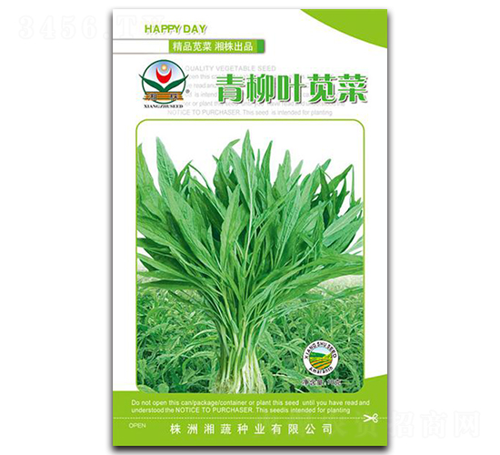 �����~�{��-�{�˷N��-���߷N�I(y��)