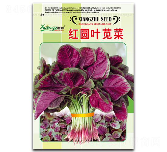 �t�A�~�{��-�{�˷N��-���߷N�I(y��)