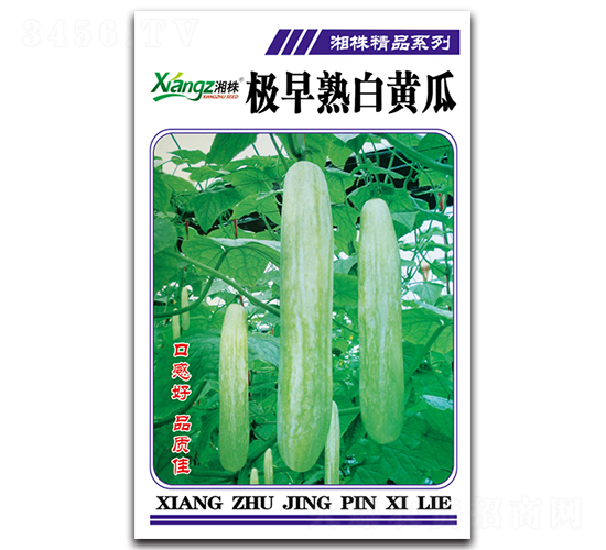 �O������S��-�S�ϷN��-���߷N�I(y��)