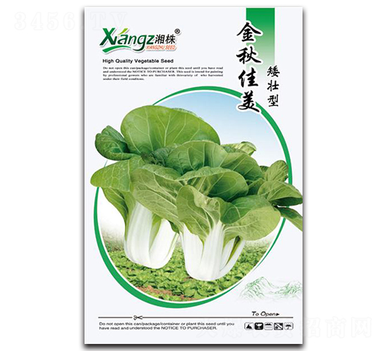 �������-��˷N��-���߷N�I(y��)