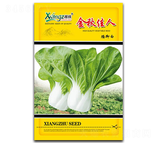 �������-��˷N��-���߷N�I(y��)