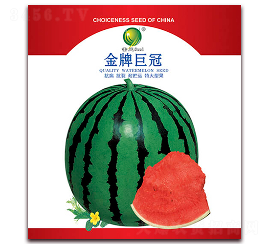 ���ƾ޹�-���ϷN��-����N�I(y��)