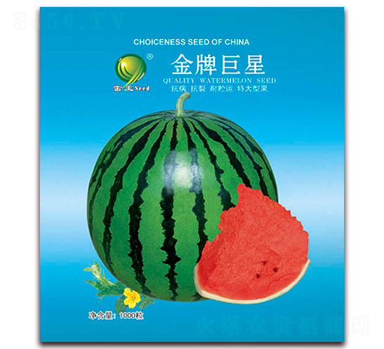 ���ƾ���-���ϷN��-����N�I(y��)