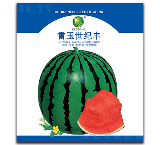 �������o�S-���ϷN��-����N�I(y��)