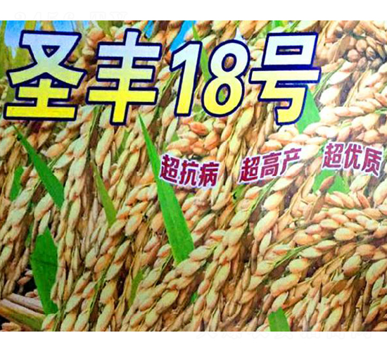 ʥ�S18̖-ˮ���N��-���ƷN�I(y��)