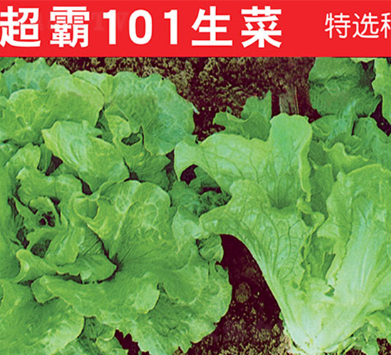 ����101����-���˷N��-�f�r(n��ng)�߿�