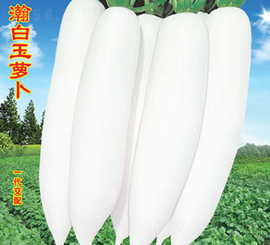 嫰����}��-�}���N��-�f�r(n��ng)�߿�